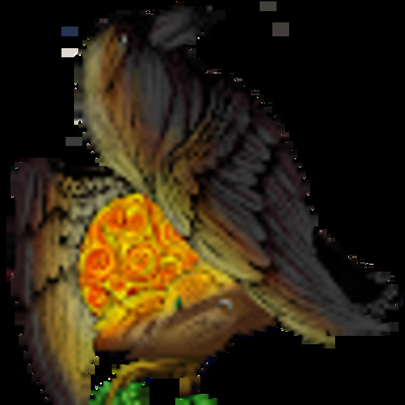 Meet your Posher, Neri - Picture 1 of 1